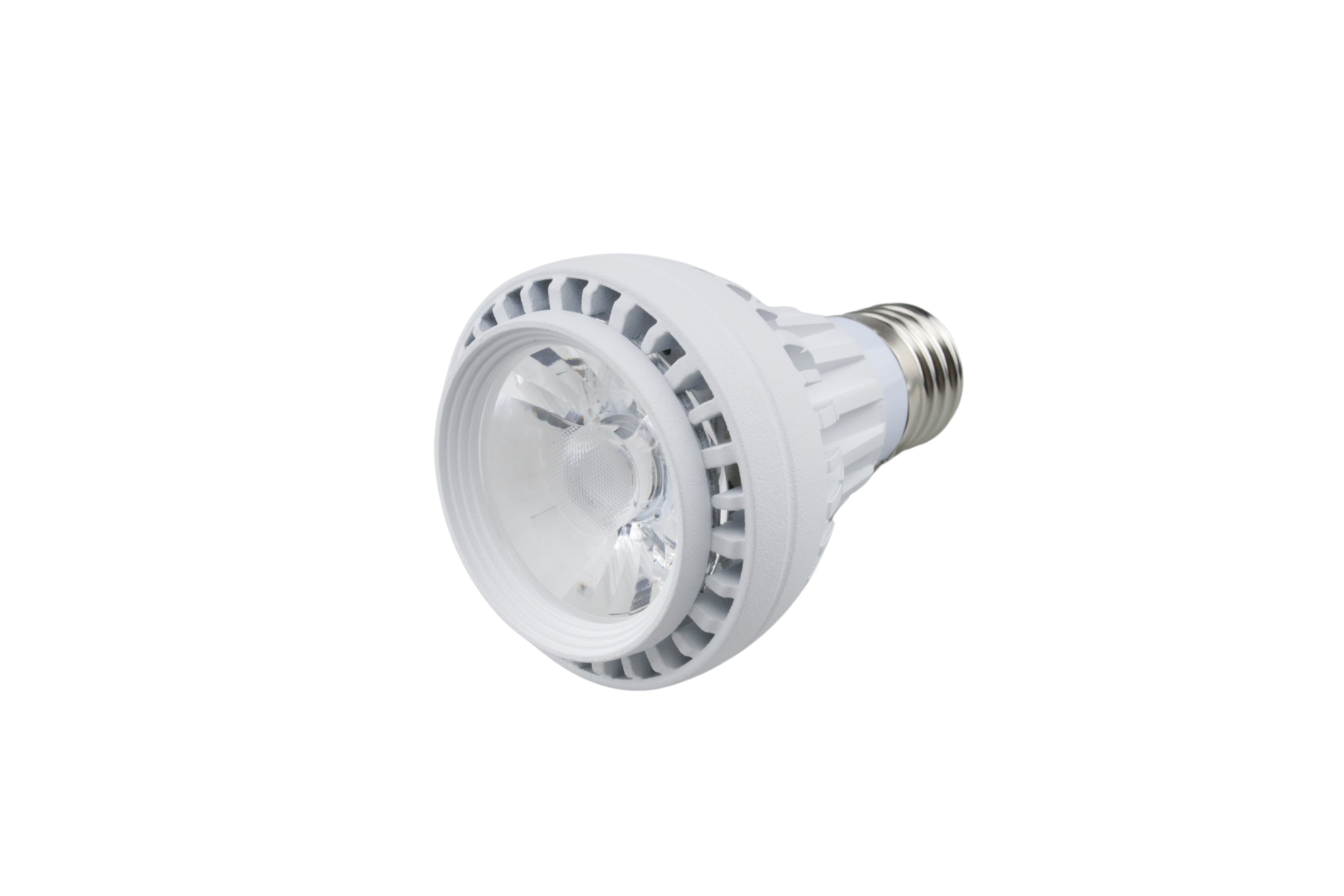PAR20 LED Light Bulbs