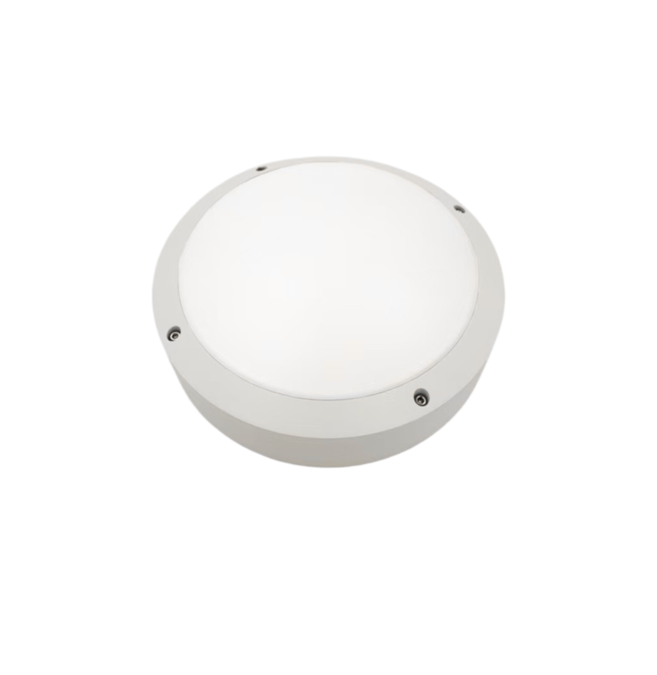30W IP65 Waterproof Ceiling Light for Outdoors
